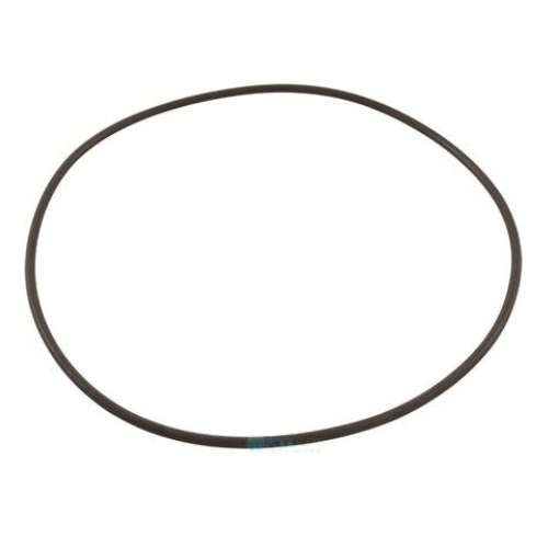 WaterCo 62026 O-Ring Lid SM Series W/8 Clear & Trimline 620251/620281